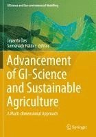 bokomslag Advancement of GI-Science and Sustainable Agriculture