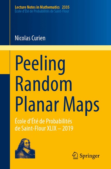 Nicolas Curien - Peeling Random Planar Maps, Häftad