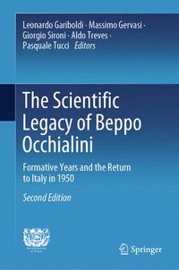 bokomslag The Scientific Legacy of Beppo Occhialini