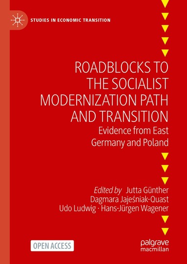 Jutta Günther, Dagmara Jajeśniak-Quast, Udo Ludwig, Hans-Jürgen Wagener - Roadblocks to the Socialist Modernization Path and Transition, Inbunden