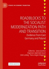 bokomslag Roadblocks to the Socialist Modernization Path and Transition