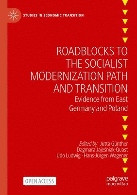bokomslag Roadblocks to the Socialist Modernization Path and Transition
