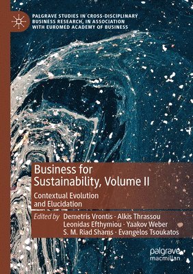 bokomslag Business for Sustainability, Volume II