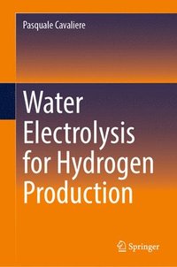 bokomslag Water Electrolysis for Hydrogen Production