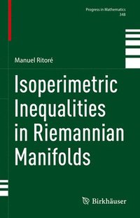 bokomslag Isoperimetric Inequalities in Riemannian Manifolds