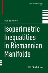 bokomslag Isoperimetric Inequalities in Riemannian Manifolds