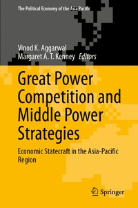 bokomslag Great Power Competition and Middle Power Strategies