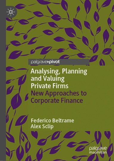 Federico Beltrame, Alex Sclip - Analysing, Planning and Valuing Private Firms, Inbunden