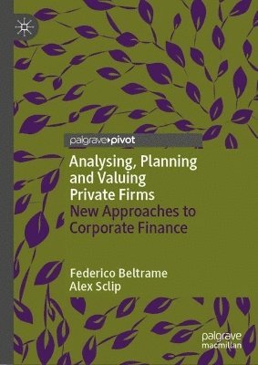 Analysing, Planning and Valuing Private Firms 1