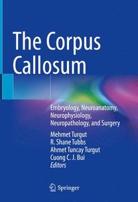bokomslag The Corpus Callosum