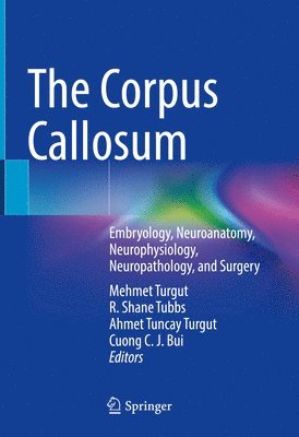 The Corpus Callosum 1