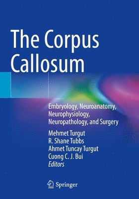 The Corpus Callosum 1