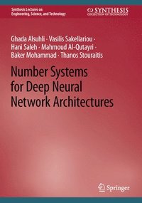 bokomslag Number Systems for Deep Neural Network Architectures