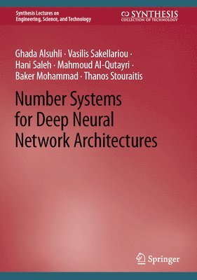 Number Systems for Deep Neural Network Architectures 1