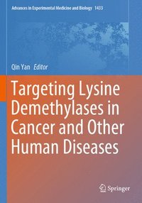 bokomslag Targeting Lysine Demethylases in Cancer and Other Human Diseases