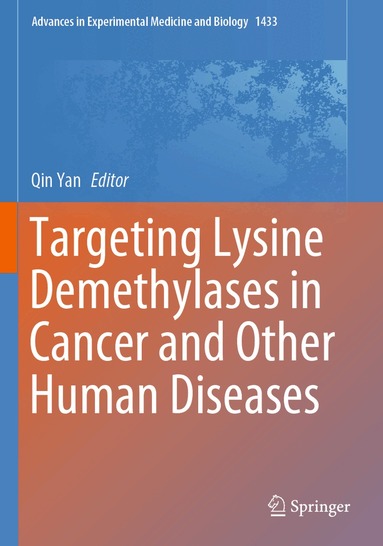 Qin Yan - Targeting Lysine Demethylases in Cancer and Other Human Diseases, Häftad