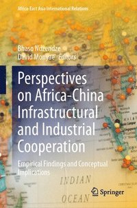 bokomslag Perspectives on Africa-China Infrastructural and Industrial Cooperation