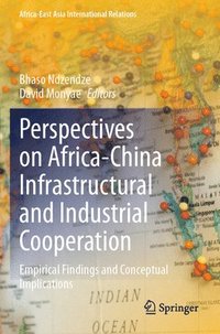 bokomslag Perspectives on Africa-China Infrastructural and Industrial Cooperation