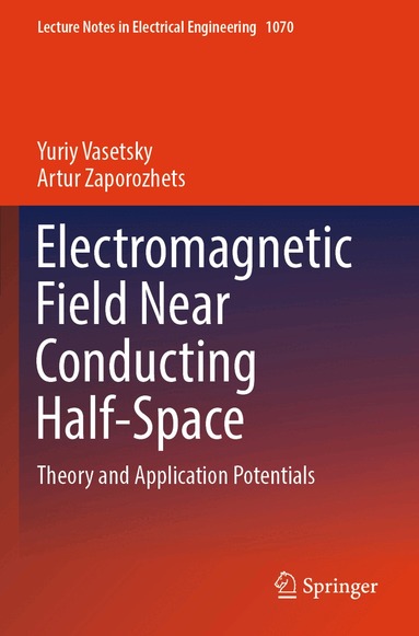 Yuriy Vasetsky, Artur Zaporozhets - Electromagnetic Field Near Conducting Half-Space, Häftad