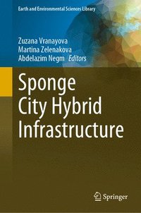 bokomslag Sponge City Hybrid Infrastructure