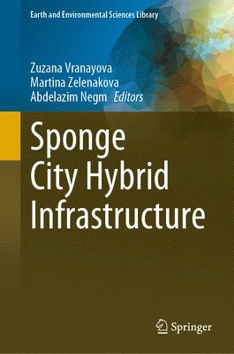 Sponge City Hybrid Infrastructure 1