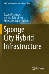 bokomslag Sponge City Hybrid Infrastructure