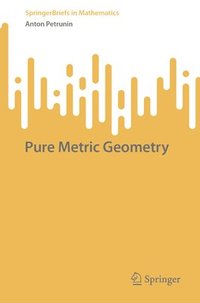 bokomslag Pure Metric Geometry