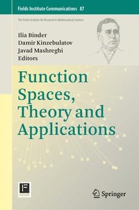 bokomslag Function Spaces, Theory and Applications