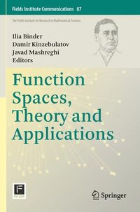 bokomslag Function Spaces, Theory and Applications