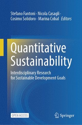 bokomslag Quantitative Sustainability