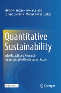 bokomslag Quantitative Sustainability