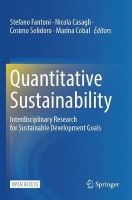 bokomslag Quantitative Sustainability