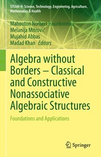bokomslag Algebra without Borders  Classical and Constructive Nonassociative Algebraic Structures