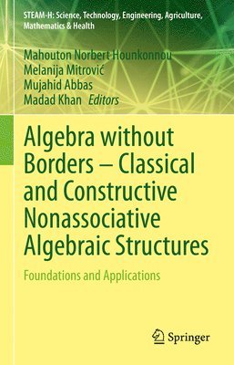 bokomslag Algebra without Borders - Classical and Constructive Nonassociative Algebraic Structures