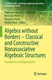 bokomslag Algebra without Borders  Classical and Constructive Nonassociative Algebraic Structures