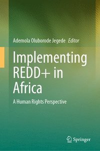 bokomslag Implementing REDD+ in Africa
