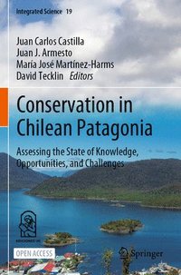 bokomslag Conservation in Chilean Patagonia