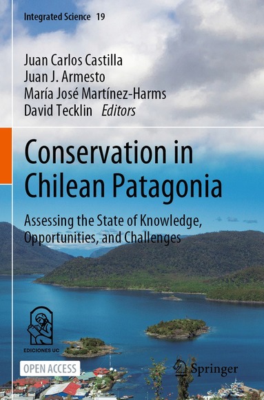 bokomslag Conservation in Chilean Patagonia