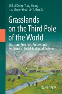 bokomslag Grasslands on the Third Pole of the World