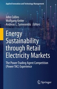 bokomslag Energy Sustainability through Retail Electricity Markets