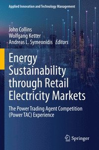 bokomslag Energy Sustainability through Retail Electricity Markets