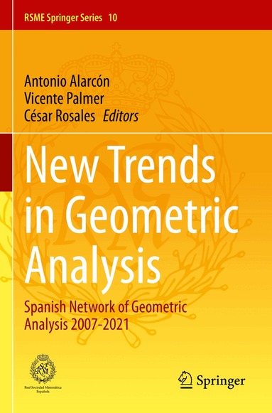 Antonio Alarcón, Vicente Palmer, César Rosales - New Trends in Geometric Analysis, Häftad