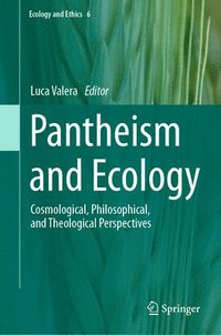 bokomslag Pantheism and Ecology