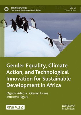 bokomslag Gender Equality, Climate Action, and Technological Innovation for Sustainable Development in Africa