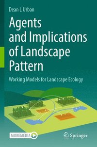 bokomslag Agents and Implications of Landscape Pattern