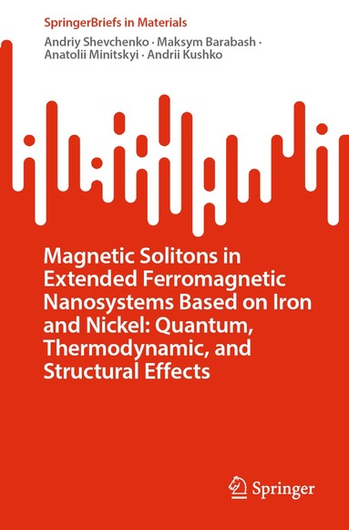 Andriy Shevchenko, Maksym Barabash, Anatolii Minitskyi, Andrii Kushko - Magnetic Solitons in Extended Ferromagnetic Nanosystems Based on Iron and Nickel: Quantum, Thermodynamic, and Structural Effects, Häftad