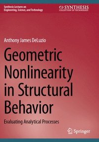 bokomslag Geometric Nonlinearity in Structural Behavior