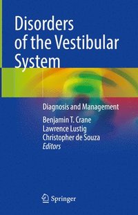 bokomslag Disorders of the Vestibular System