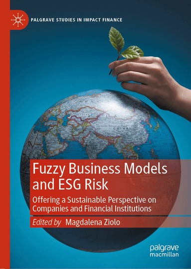 Magdalena Ziolo - Fuzzy Business Models and ESG Risk, Inbunden