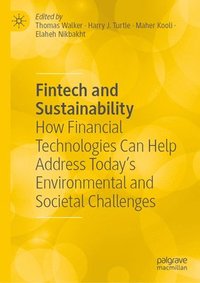 bokomslag Fintech and Sustainability